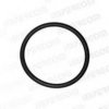 FIAT 4160140 Shaft Seal, differential